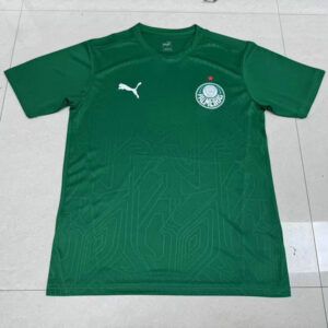 kkgool Camiseta Entrenamiento Palmeiras Verde 2025 Versión Jugador