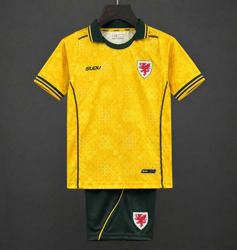 Equipacion galles visitante ninos 2026 2027 kkgool